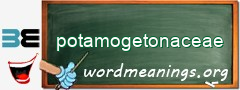 WordMeaning blackboard for potamogetonaceae
